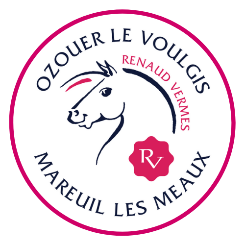 Logo Renaud Vermes Équitation